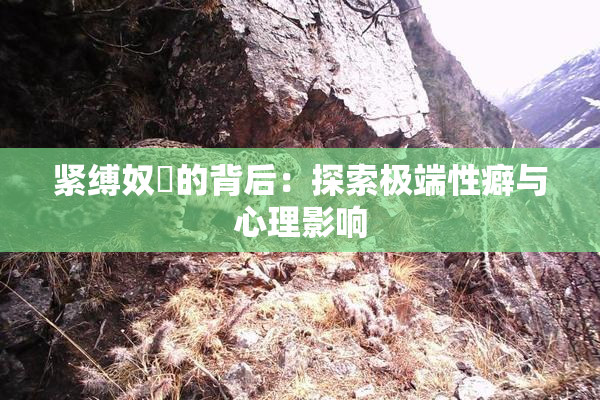 紧缚奴隷的背后：探索极端性癖与心理影响