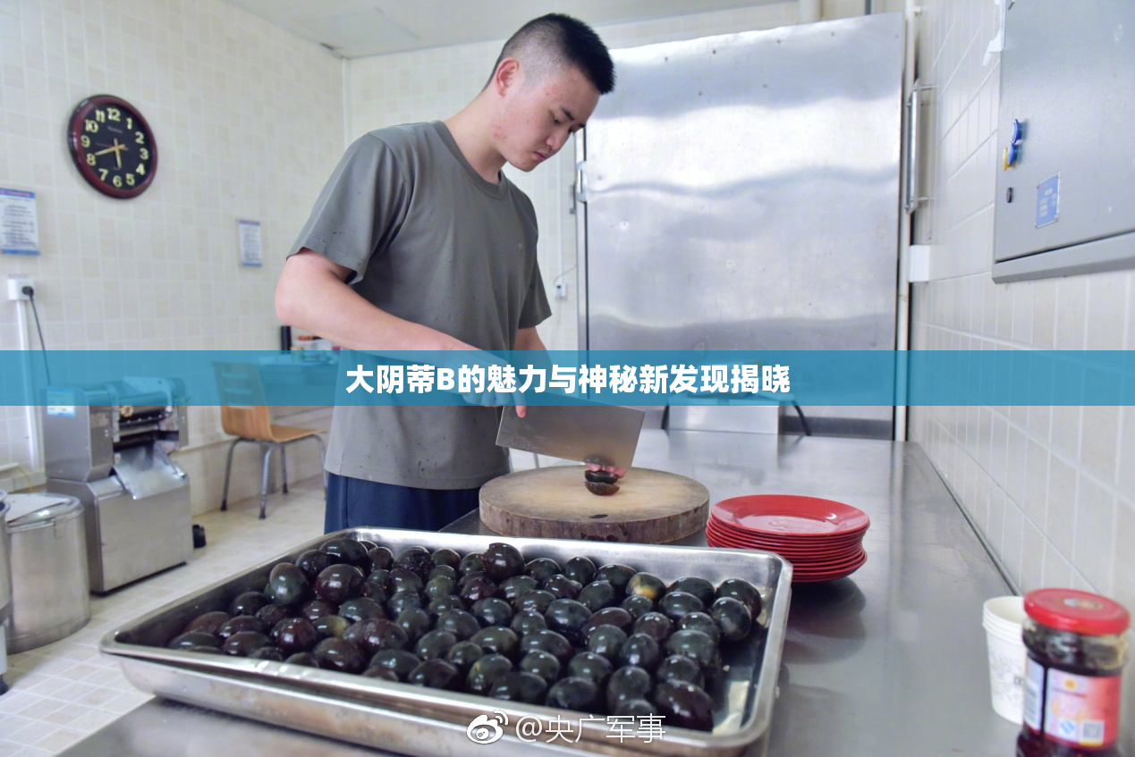 大阴蒂B的魅力与神秘新发现揭晓