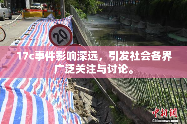 17c事件影响深远，引发社会各界广泛关注与讨论。