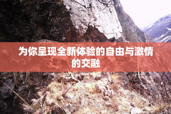 为你呈现全新体验的自由与激情的交融