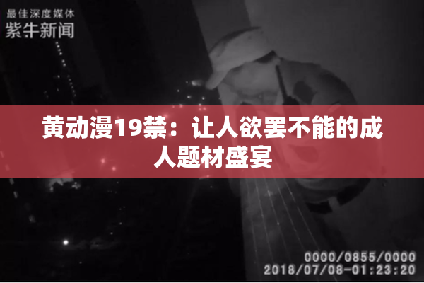 黄动漫19禁：让人欲罢不能的成人题材盛宴