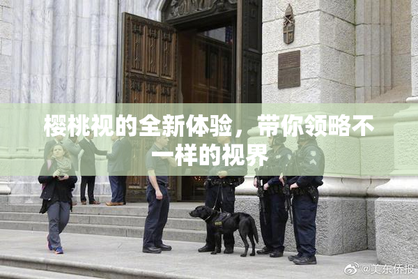 樱桃视的全新体验，带你领略不一样的视界