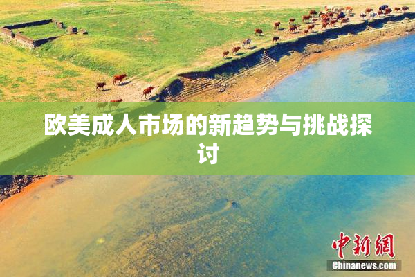 欧美成人市场的新趋势与挑战探讨