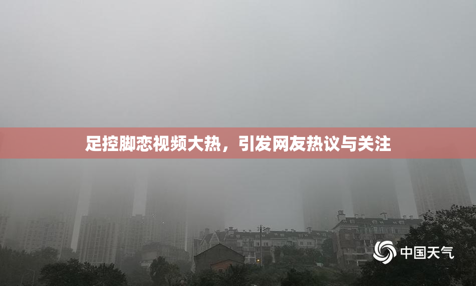 足控脚恋视频大热，引发网友热议与关注