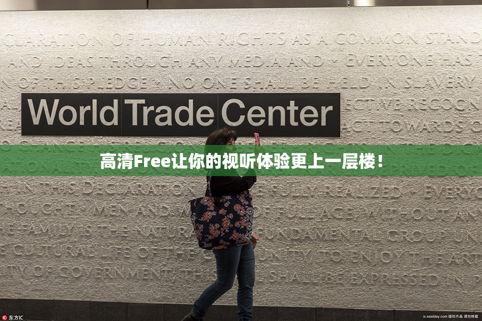 高清Free让你的视听体验更上一层楼！