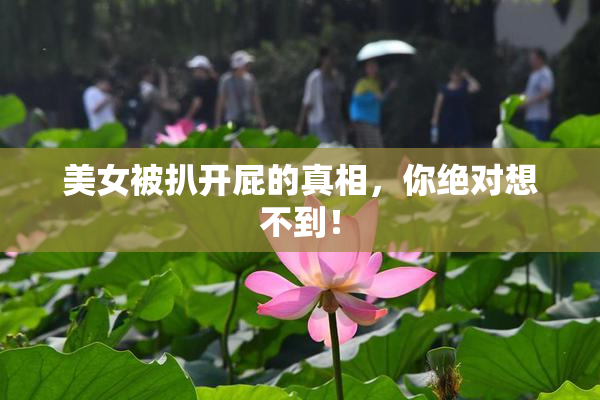 美女被扒开屁的真相，你绝对想不到！