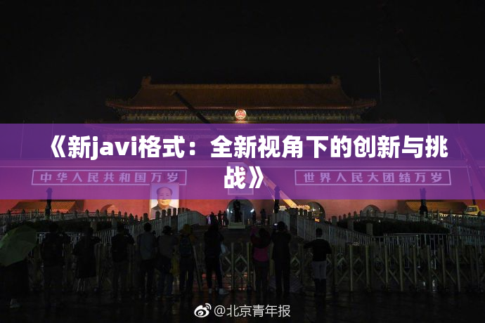 《新javi格式：全新视角下的创新与挑战》