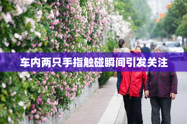 车内两只手指触碰瞬间引发关注