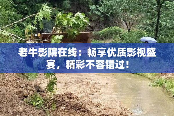 老牛影院在线：畅享优质影视盛宴，精彩不容错过！