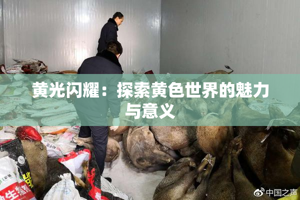 黄光闪耀：探索黄色世界的魅力与意义
