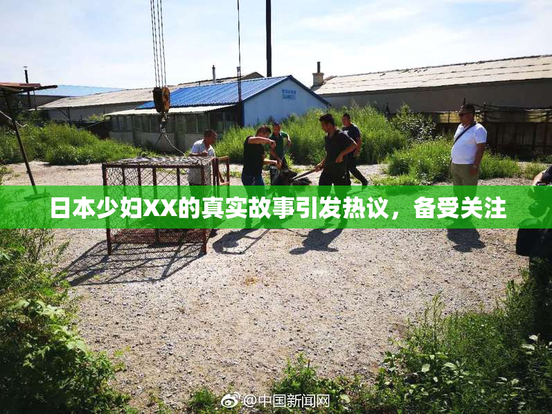 日本少妇XX的真实故事引发热议，备受关注