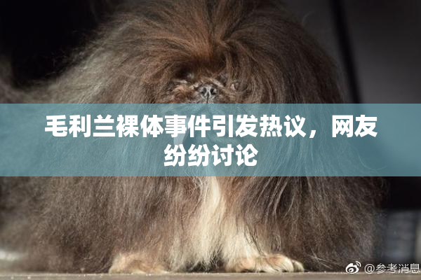 毛利兰裸体事件引发热议，网友纷纷讨论