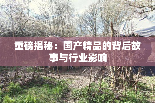 重磅揭秘：国产精品的背后故事与行业影响