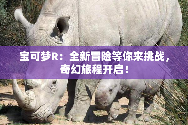 宝可梦R：全新冒险等你来挑战，奇幻旅程开启！