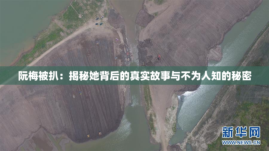 阮梅被扒：揭秘她背后的真实故事与不为人知的秘密