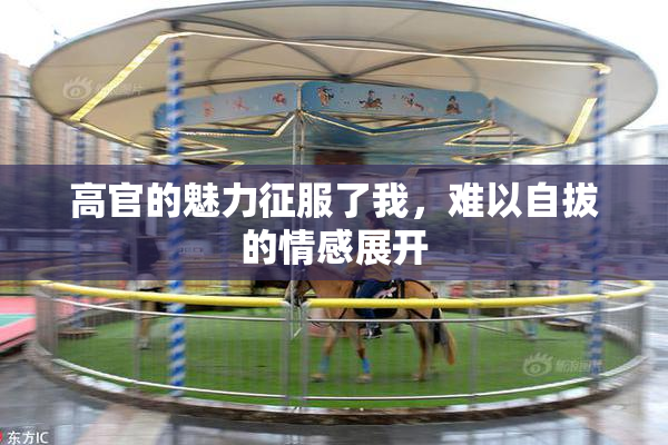 高官的魅力征服了我，难以自拔的情感展开