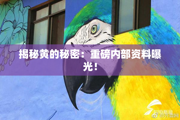 揭秘黄的秘密：重磅内部资料曝光！