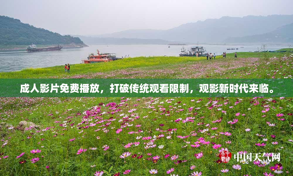 成人影片免费播放，打破传统观看限制，观影新时代来临。