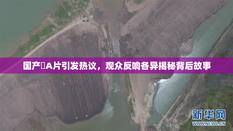 国产婬A片引发热议，观众反响各异揭秘背后故事