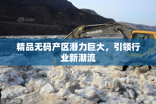 精品无码产区潜力巨大，引领行业新潮流