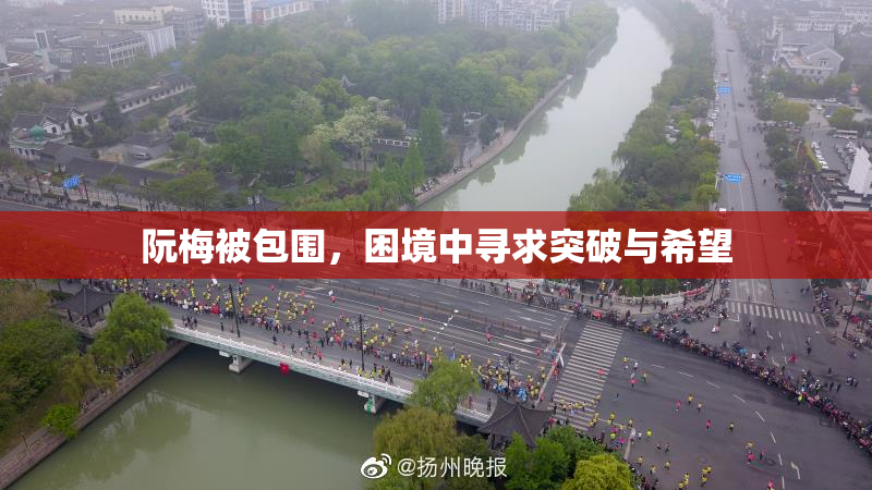 阮梅被包围，困境中寻求突破与希望