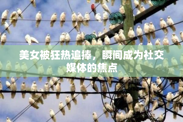 美女被狂热追捧，瞬间成为社交媒体的焦点