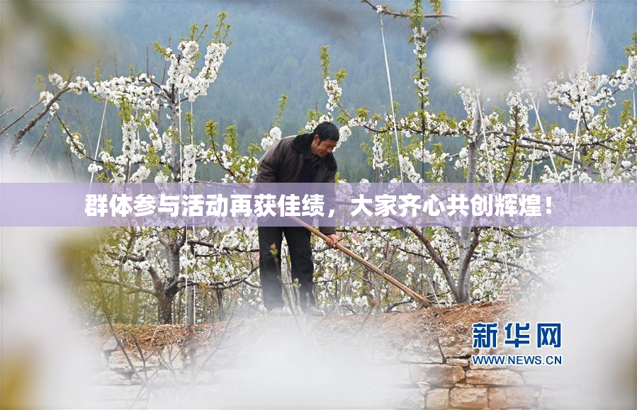 群体参与活动再获佳绩，大家齐心共创辉煌！