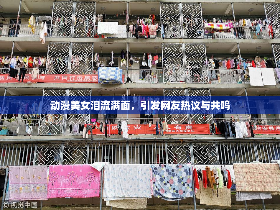 动漫美女泪流满面，引发网友热议与共鸣
