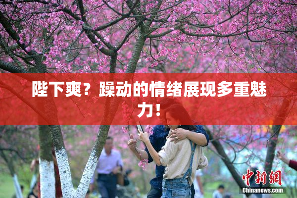 陛下爽？躁动的情绪展现多重魅力！