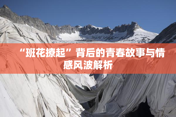 “班花撩起”背后的青春故事与情感风波解析