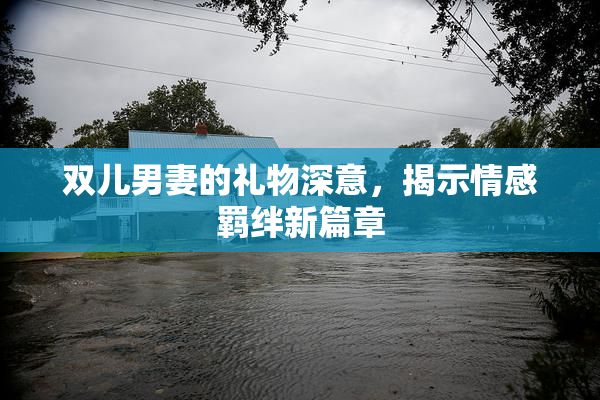 双儿男妻的礼物深意，揭示情感羁绊新篇章