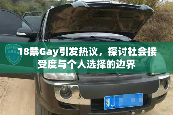18禁Gay引发热议，探讨社会接受度与个人选择的边界