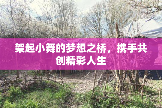 架起小舞的梦想之桥，携手共创精彩人生