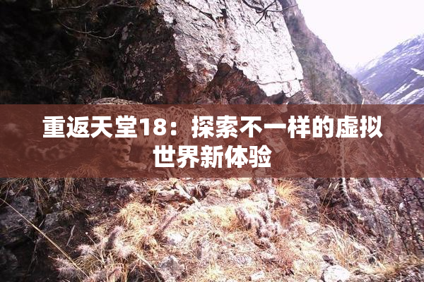 重返天堂18：探索不一样的虚拟世界新体验