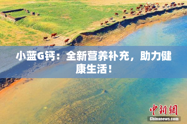 小蓝G钙：全新营养补充，助力健康生活！