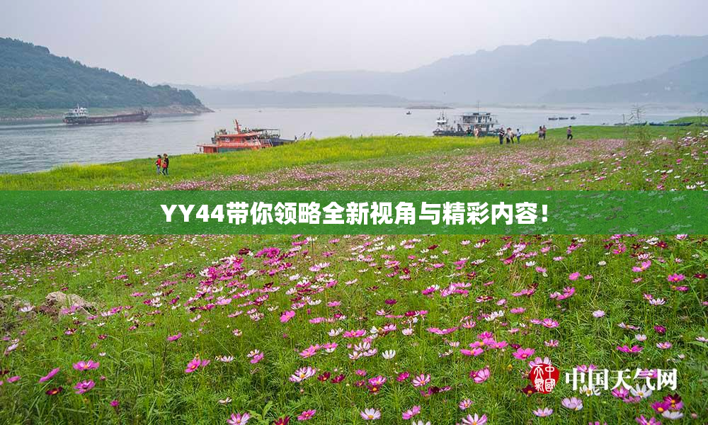 YY44带你领略全新视角与精彩内容！