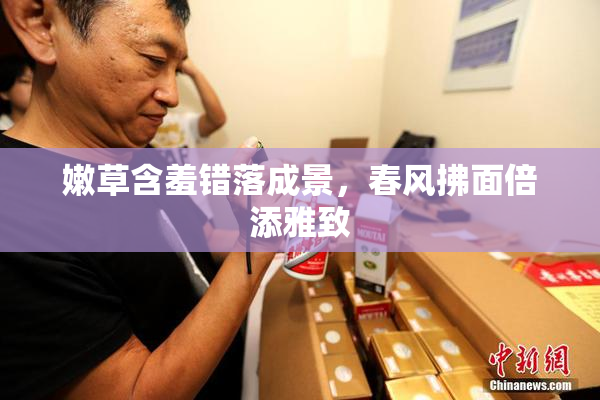 嫩草含羞错落成景，春风拂面倍添雅致