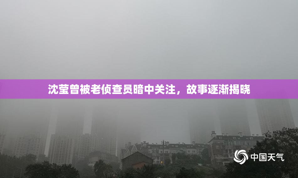 沈莹曾被老侦查员暗中关注，故事逐渐揭晓