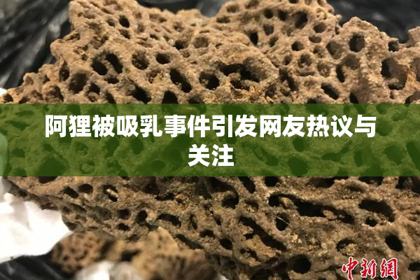 阿狸被吸乳事件引发网友热议与关注