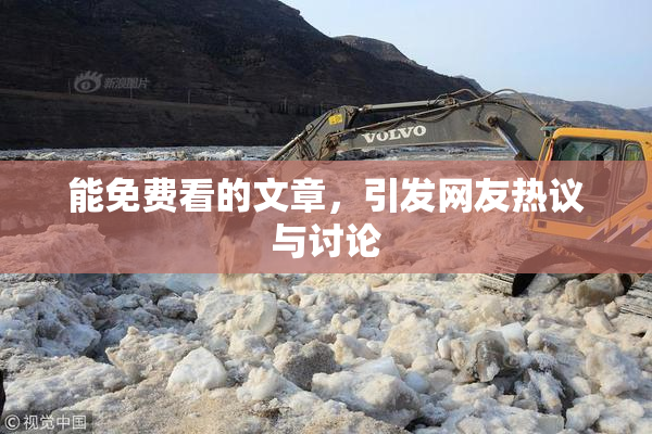 能免费看的文章，引发网友热议与讨论