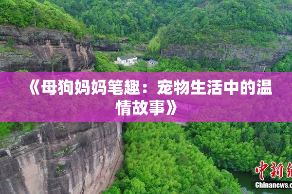 《母狗妈妈笔趣：宠物生活中的温情故事》