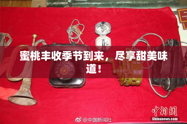蜜桃丰收季节到来，尽享甜美味道！