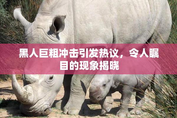 黑人巨粗冲击引发热议，令人瞩目的现象揭晓