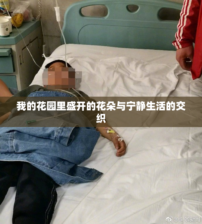 我的花园里盛开的花朵与宁静生活的交织