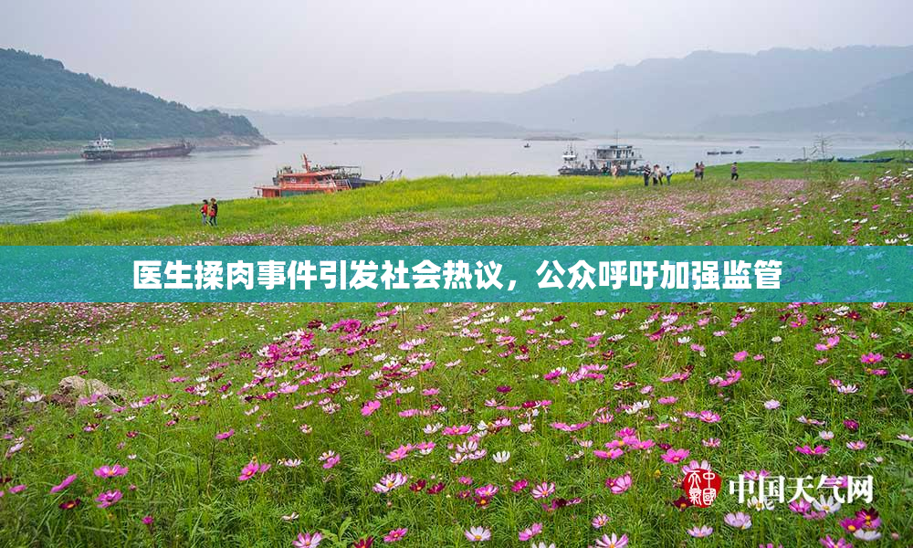 医生揉肉事件引发社会热议，公众呼吁加强监管