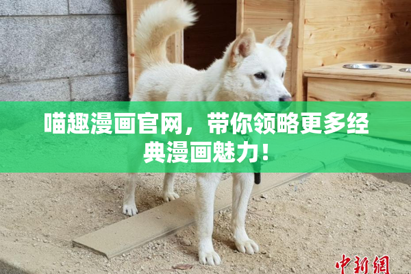 喵趣漫画官网，带你领略更多经典漫画魅力！