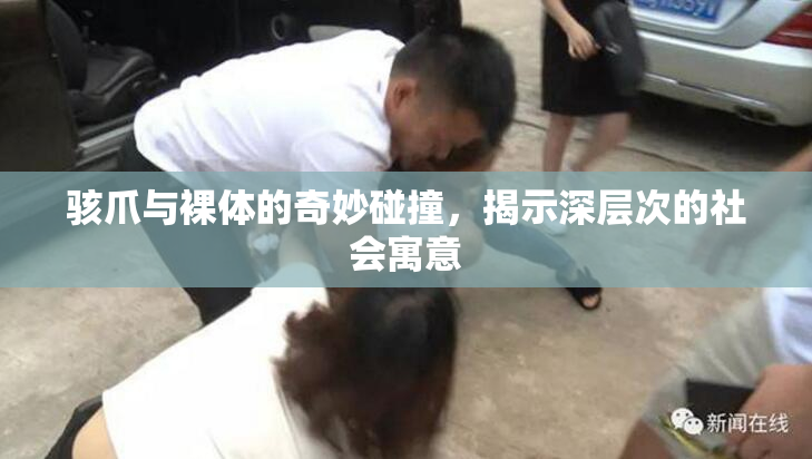 骇爪与裸体的奇妙碰撞，揭示深层次的社会寓意