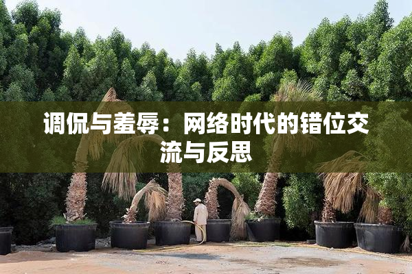 调侃与羞辱：网络时代的错位交流与反思