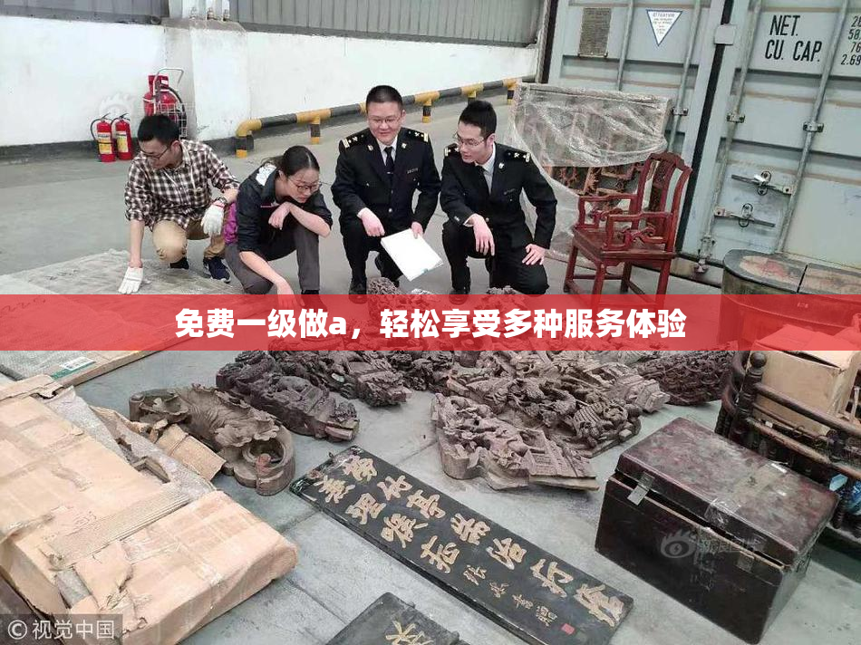 免费一级做a，轻松享受多种服务体验