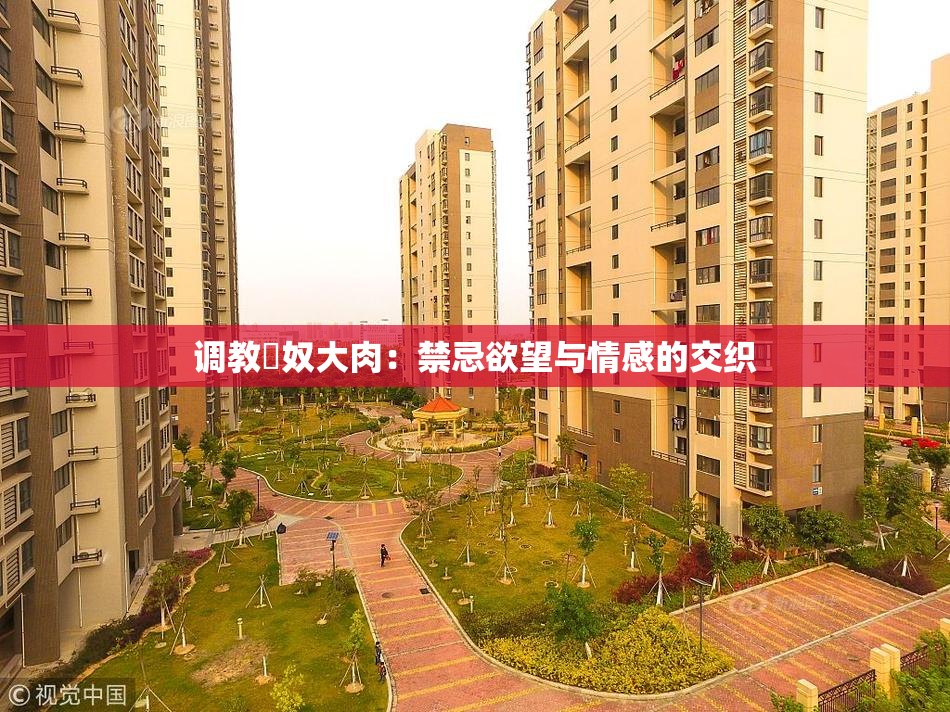 调教婬奴大肉：禁忌欲望与情感的交织